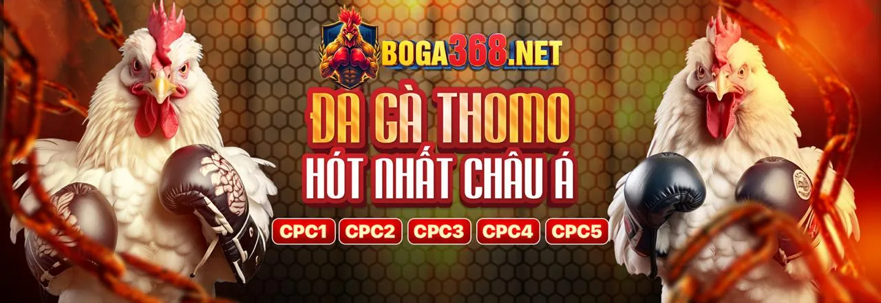 Tham gia win55 ngay hôm nay